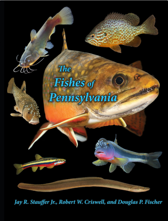 fishes-book-cover