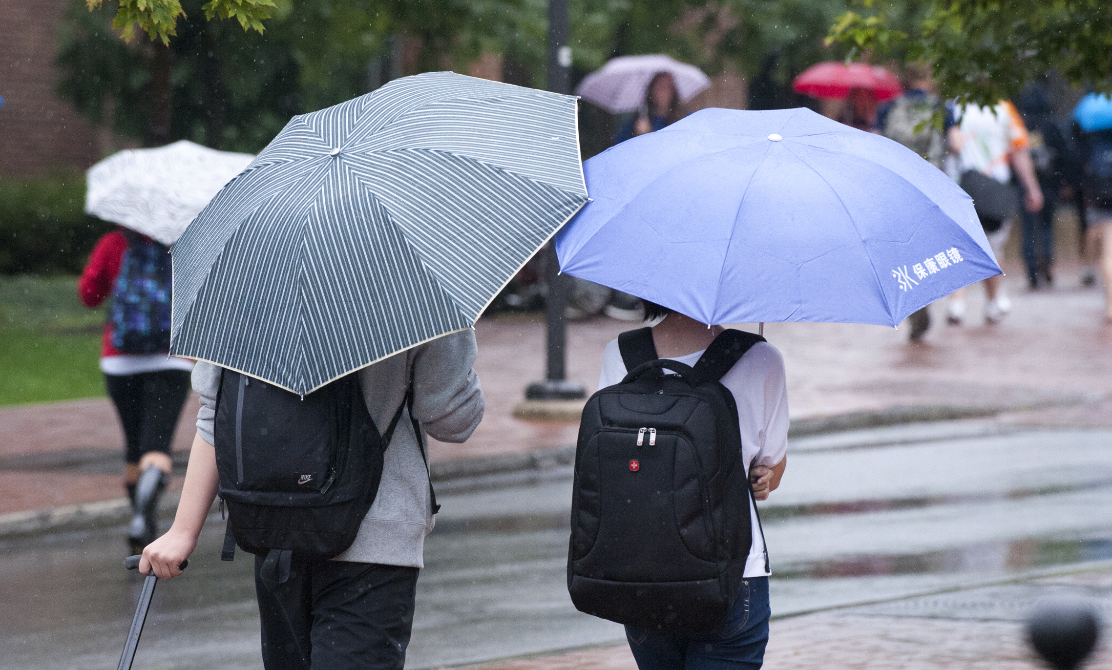 Two students with backpacks from the back with umbrellas walking together in the rain